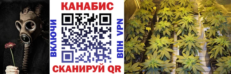 Купить закладки  Рыбное  Канабис конопля 